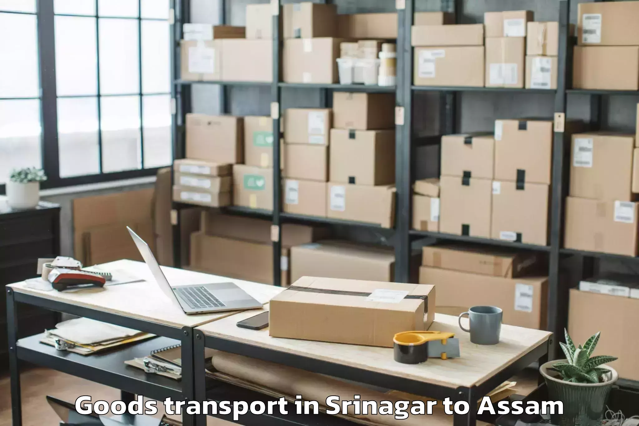 Affordable Srinagar to Chaboti Goods Transport